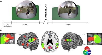 Personal Memories and Bodily-Cues Influence Our Sense of Self